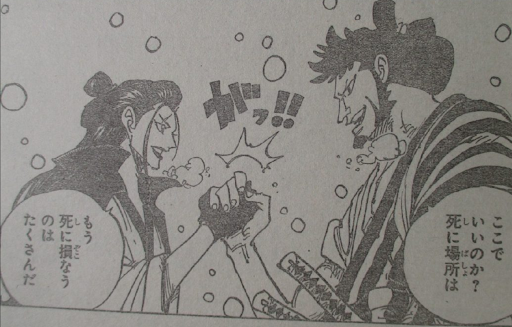 One Piece: Liều lĩnh tấn công Kaido, các fan cho rằng chuẩn bị hậu sự cho Cửu Hồng Bao đi là vừa - Ảnh 2.