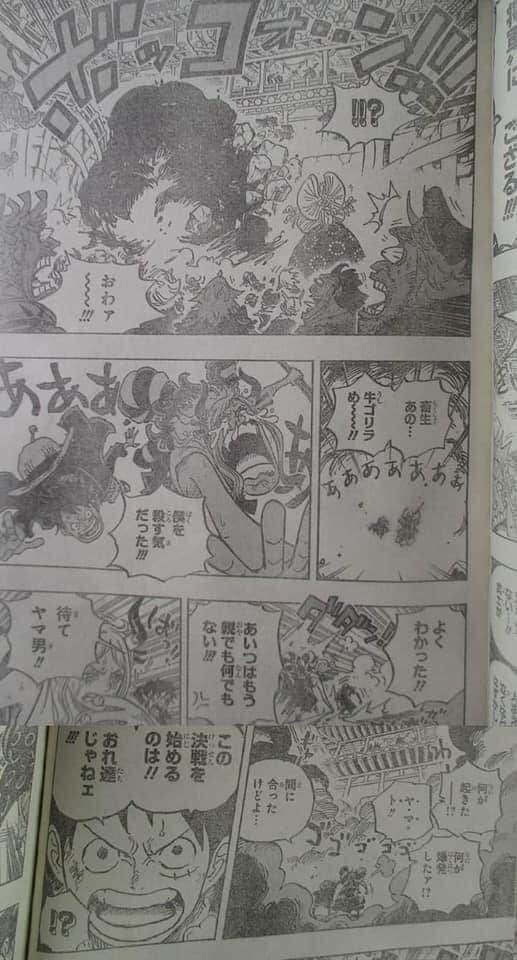 One Piece chap 986: Vừa gặp Luffy có mấy chap, từ cô gái xinh đẹp Yamato trở thành kẻ tấu hài cực mạnh - Ảnh 3.