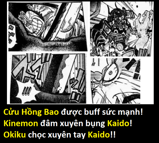 Việc Cửu Hồng bao làm Kaido bị thương là chuyện hợp lý