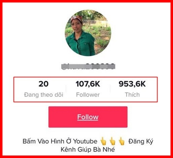 Bà Lý Vlog gây sốt trên TikTok, clip thu hút cả triệu lượt xem bất chấp bao gạch, đá - Ảnh 3.