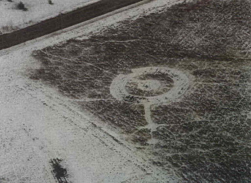 Khám phá bí ẩn Crop Circle - những vòng tròn tuyệt tác được cho là của người ngoài hành tinh - Ảnh 2.