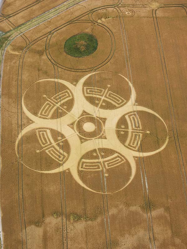 Khám phá bí ẩn Crop Circle - những vòng tròn tuyệt tác được cho là của người ngoài hành tinh - Ảnh 13.