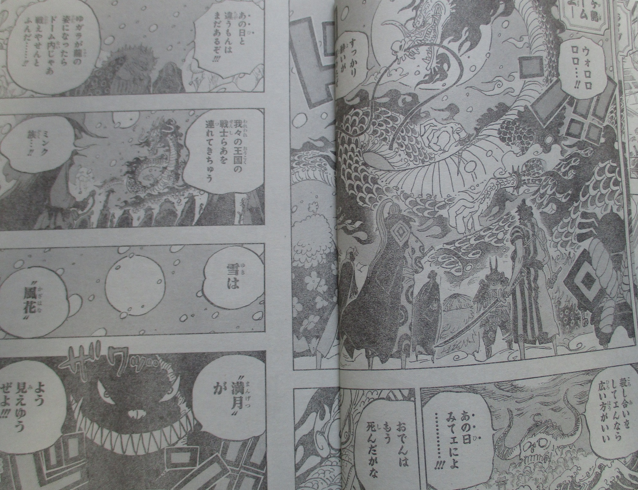 Spoiler One Piece Chap 987 Combat Tổng Bắt đầu Diễn Ra Kịch Liệt Kaido Hoa Rồng đấu Tộc Mink Trong Dạng Sulong