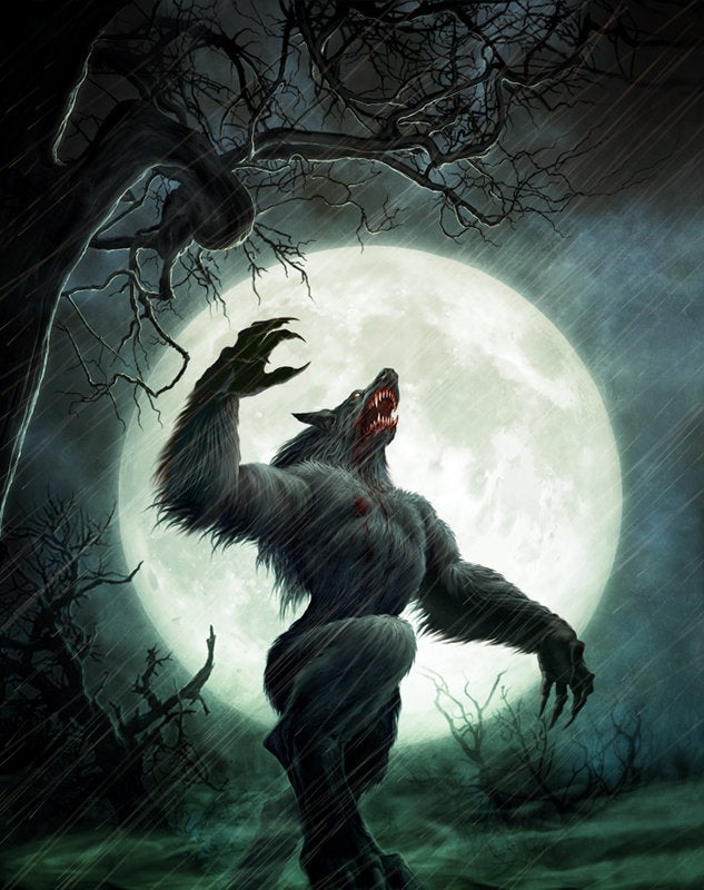 Những vụ săn lùng người sói tàn bạo và khủng khiếp từng diễn ra ở châu Âu thời xưa - Ảnh 1.