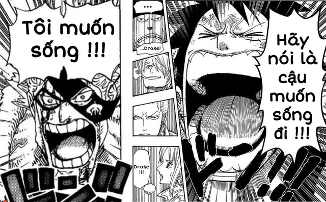 One Piece: 4 nhân vật đang ở Wano quốc có khả năng trở thành thuyền viên thứ 11 của băng Mũ Rơm - Ảnh 5.