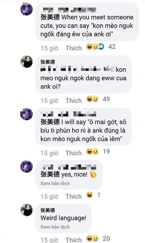 Cười nghiêng ngả khi cư dân mạng dạy tiếng Việt trên Facebook cho người nước ngoài - Ảnh 3.