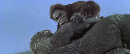 Cười xỉu vì đại chiến Godzilla vs. Kong 59 năm trước: Giật điện sảng hồn, thồn cây vào mồm nhau đúng chuẩn yang hồ! - Ảnh 9.