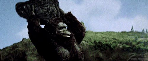 Cười xỉu vì đại chiến Godzilla vs. Kong 59 năm trước: Giật điện sảng hồn, thồn cây vào mồm nhau đúng chuẩn yang hồ! - Ảnh 5.