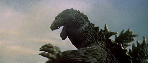Cười xỉu vì đại chiến Godzilla vs. Kong 59 năm trước: Giật điện sảng hồn, thồn cây vào mồm nhau đúng chuẩn yang hồ! - Ảnh 7.