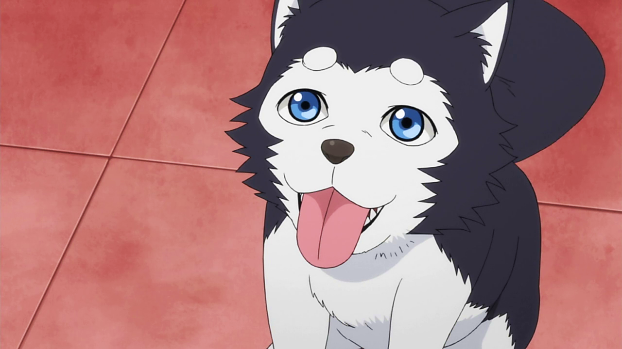 100 mẫu ảnh con chó anime đáng yêu và dễ thương