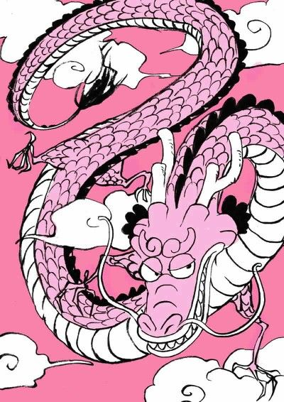 One Piece: Phải mất tận 7 năm con lươn màu đào Momonosuke mới dậy thì thành công - Ảnh 9.