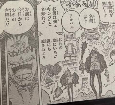 Spoil đầy đủ One Piece chap 1035: Quá khứ của King được tiết lộ, Kaido từng nói với gã một câu giống hệt Roger ngày xưa? - Ảnh 8.