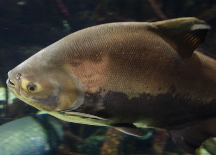 Những bức hình làm người xem phải ngó lại vì sự ảo thật đấy của chúng - Ảnh 4. Những bức hình làm người xem phải ngó lại vì sự ảo thật đấy của chúng - Ảnh 4.