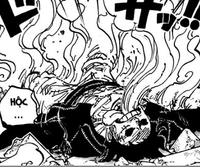 Điểm qua những chi tiết thú vị trong One Piece chap 1003: Luffy tiếp nối nguyện vọng của Ace - Ảnh 4.