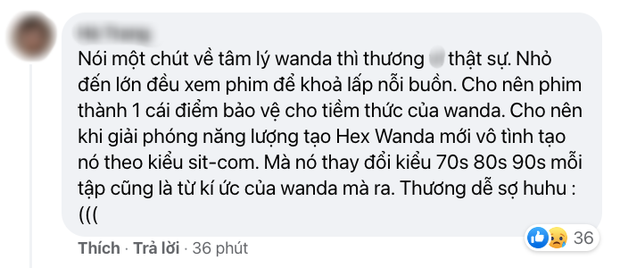 Netizen Việt bùng nổ vì WandaVision tập 8: Cảm động muốn khóc, tình tiết chấn động không thể ngờ! - Ảnh 7.