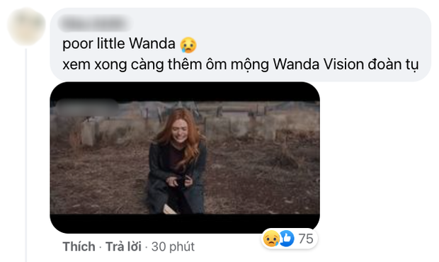 Netizen Việt bùng nổ vì WandaVision tập 8: Cảm động muốn khóc, tình tiết chấn động không thể ngờ! - Ảnh 9.
