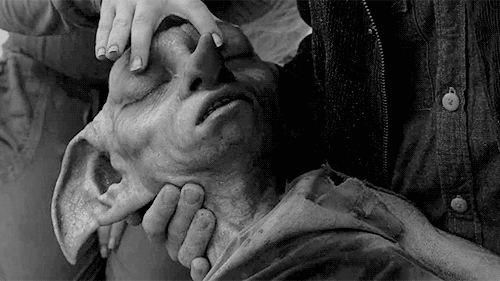 Sống lại 5 khoảnh khắc đau đớn, tang thương nhất của Harry Potter - Ảnh 6.