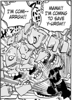 Soi các chi tiết thú vị trong One Piece 1010: Liệu Zoro có thực sự sở hữu Haki bá vương hay không? (P.1) - Ảnh 2.