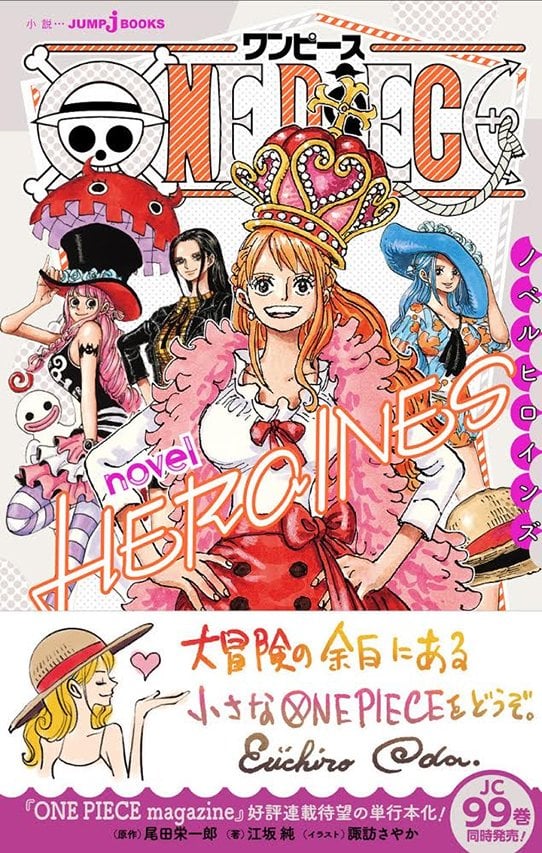 One Piece chuẩn bị ra mắt tiểu thuyết Heroines tập trung vào các nhân vật nữ, cơ hội của anh em đến rồi! - Ảnh 3.