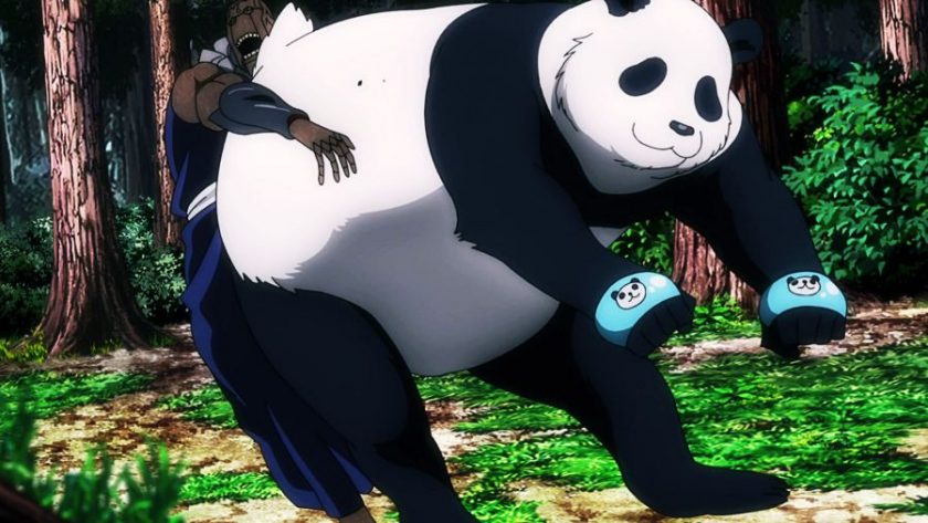 Panda: The Jujutsu Tech Sorcerer and Animal Companion