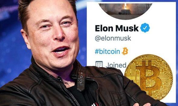 Nhẹ nhàng bán “vài Bitcoin”, Tesla của Elon Musk thu lãi gần 2400 tỷ - Ảnh 1.