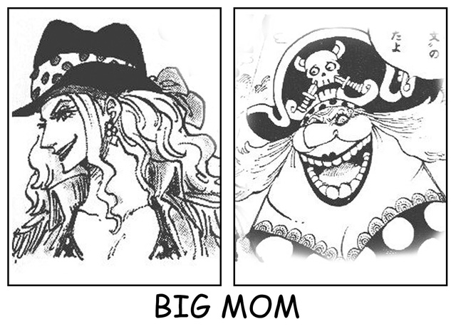 Top 7 nhân vật One Piece có những thay đổi về ngoại hình cực kỳ nghiêm trọng - Ảnh 2.