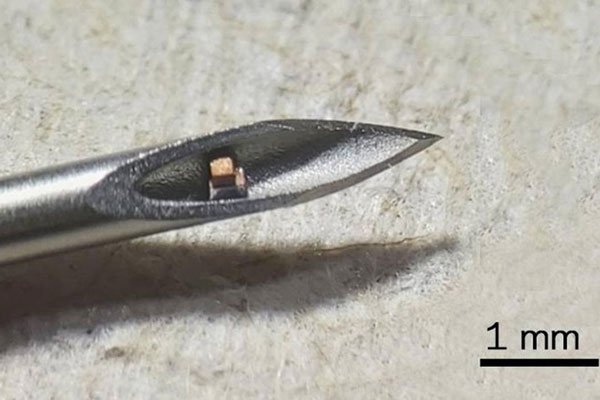 Con chip nhỏ nhất thế giới, nằm gọn trong mũi kim để tiêm vào cơ thể - Ảnh 1.