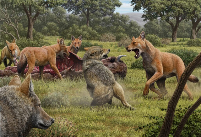 Top 10 loài động vật khủng khiếp nhất mà người tiền sử từng phải đối mặt (P.2) - Ảnh 1.