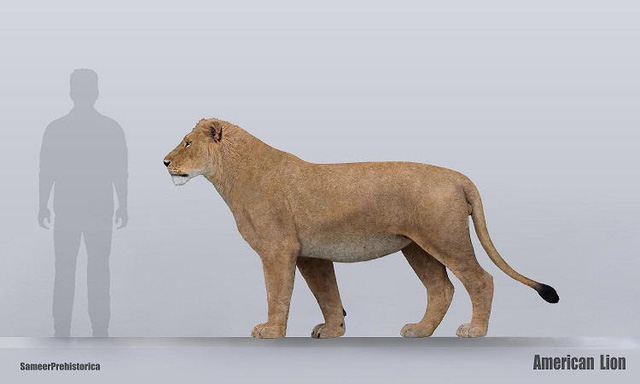 Top 10 loài động vật khủng khiếp nhất mà người tiền sử từng phải đối mặt (P.2) - Ảnh 3.