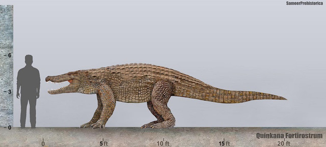 Top 10 loài động vật khủng khiếp nhất mà người tiền sử từng phải đối mặt (P.2) - Ảnh 9.
