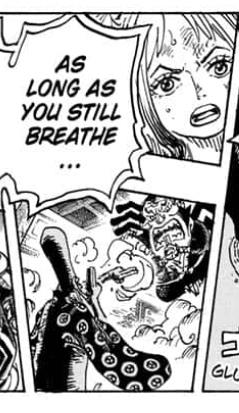 Soi những chi tiết thú vị trong One Piece chap 1015: Mối duyên nợ giữa 2 cha con Yamato và Kaido (P.2) - Ảnh 1.