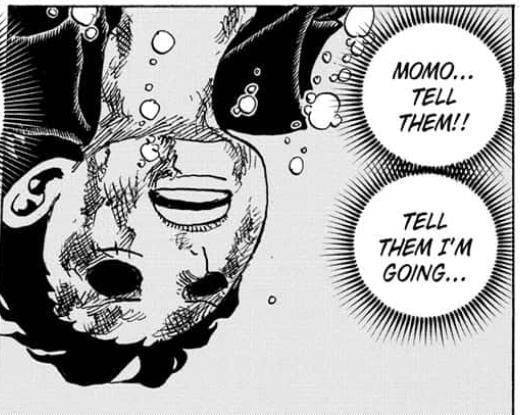 Soi những chi tiết thú vị trong One Piece chap 1015: Mối duyên nợ giữa 2 cha con Yamato và Kaido (P.2) - Ảnh 2.