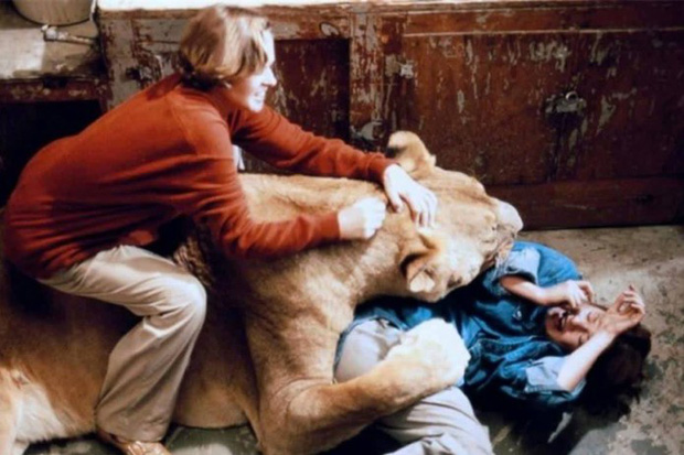Thuyền viên bị sư tử gặm vào đầu, nữ chính bị vồ suýt mất thị lực, hàng trăm người bị thương trong phim nguy hiểm nhất lịch sử - Ảnh 3.