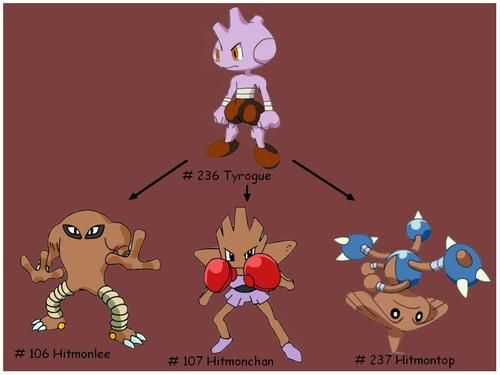 Loạt 6 Pokémon tiến hóa theo cách độc đáo chẳng giống phần còn lại chút nào - Ảnh 2.