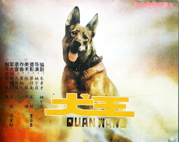 Phim Trung bị tẩy chay vì cho nổ chết thật chú chó vai chính, đạo diễn còn tiết lộ cách để giảm thiểu cơn đau - Ảnh 1.