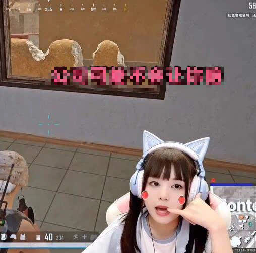 Lỡ tay đốt 3,5 tỷ của sếp để tặng quà cho fan, nữ streamer PUBG đối mặt với nguy cơ bị đuổi việc - Ảnh 3.