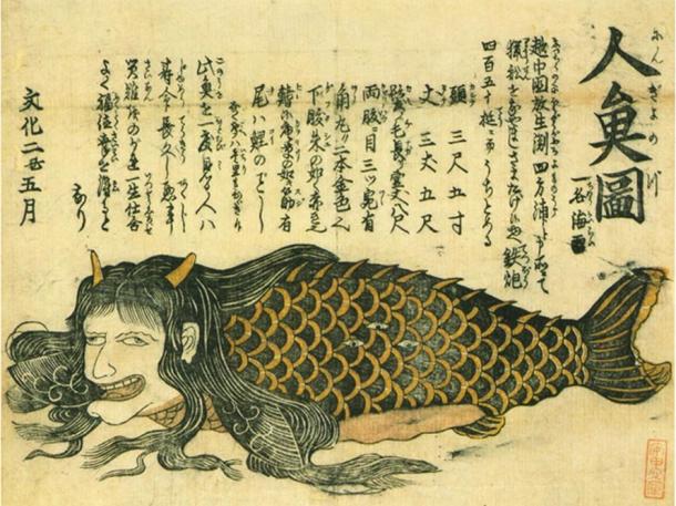 Truyền thuyết nàng tiên cá siêu dị trong thần thoại Nhật Bản - Ảnh 2.