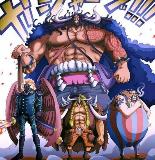 SANJI VAI SUBSTITUIR ZORO CONTRA KAIDOU?! NAMI FINALMENTE MITANDO