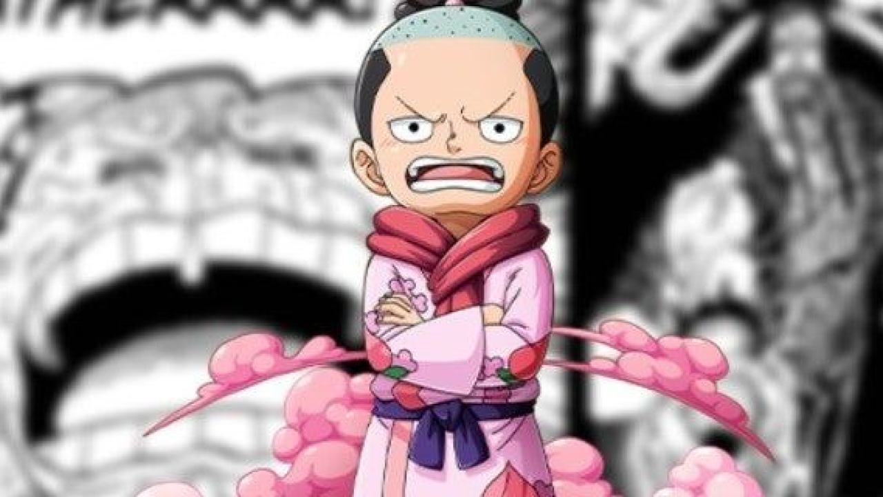 One piece: Momonosuke grow up