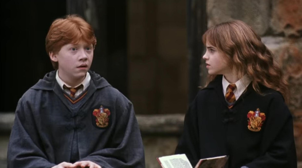 14 khoảnh khắc chứng tỏ Harry Potter chi tiết đến sợ, dự báo luôn kết cục của Voldemort mà chẳng ai để ý! - Ảnh 7.