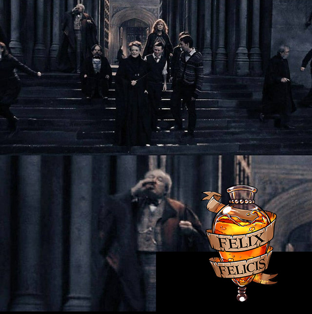 14 khoảnh khắc chứng tỏ Harry Potter chi tiết đến sợ, dự báo luôn kết cục của Voldemort mà chẳng ai để ý! - Ảnh 14.