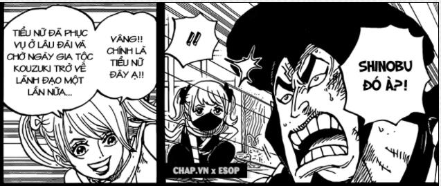 Cùng xem những tình tiết thú vị trong One Piece 1021: Shinobu có sử dụng sức mạnh lão hóa của chính mình?  - Ảnh 4.