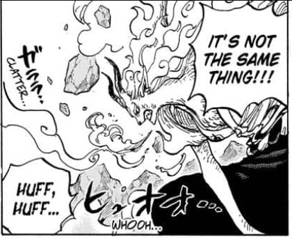 Soi những chi tiết thú vị trong One Piece chap 1020: Kho lương thực dự trữ Caribou đã giúp Luffy hồi sức? (P.2) - Ảnh 3.