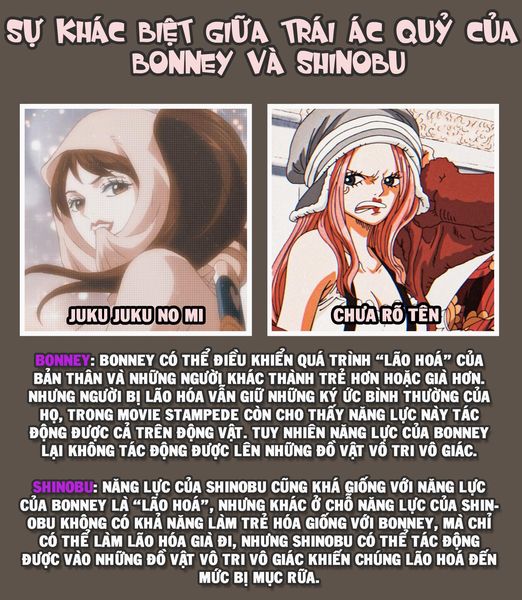 One Piece: Tìm hiểu sức mạnh về 2 trái ác quỷ lão hóa mà Shinobu và Bonney đang sở hữu - Ảnh 4.