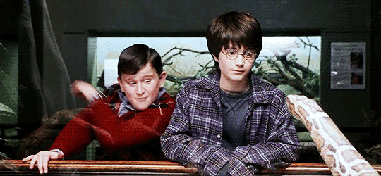 Tiết lộ lý do cực đen tối khiến Harry Potter bị cả nhà Dursley hành hạ: Bằng chứng được sắp đặt từ tập 1 mà không ai phát hiện? - Ảnh 3.
