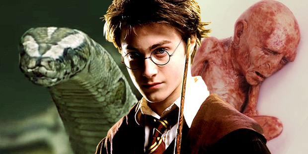 Tiết lộ lý do cực đen tối khiến Harry Potter bị cả nhà Dursley hành hạ: Bằng chứng được sắp đặt từ tập 1 mà không ai phát hiện? - Ảnh 4.