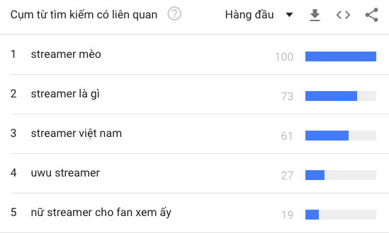 Bất ngờ nhiều thông tin về cụm từ “streamer trên thanh tìm kiếm của Google một năm qua: Mèo 2k4 lọt top tìm kiếm! - Ảnh 1.