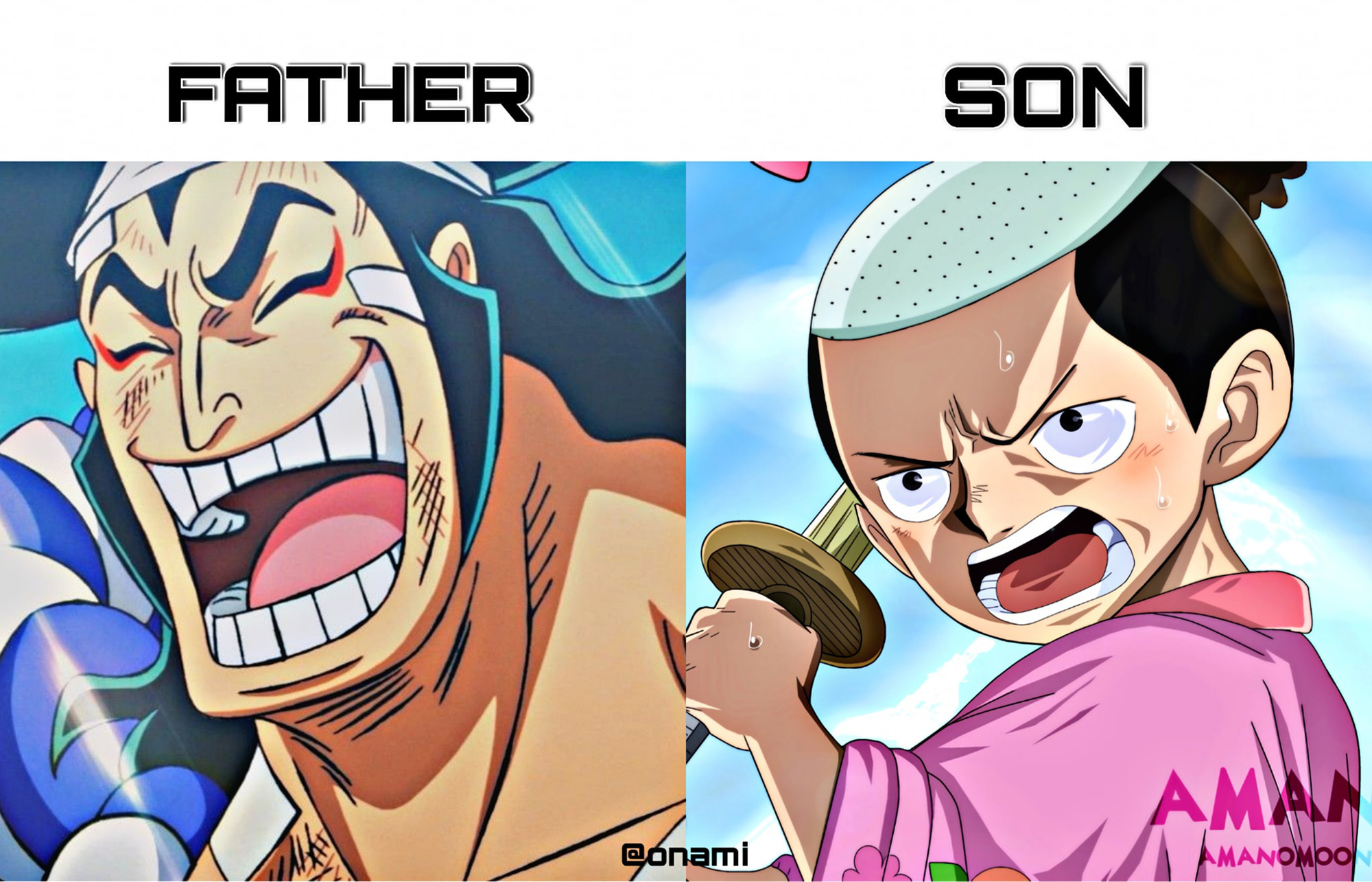 18 famous parent-child pairs in the One Piece world, there are quite a