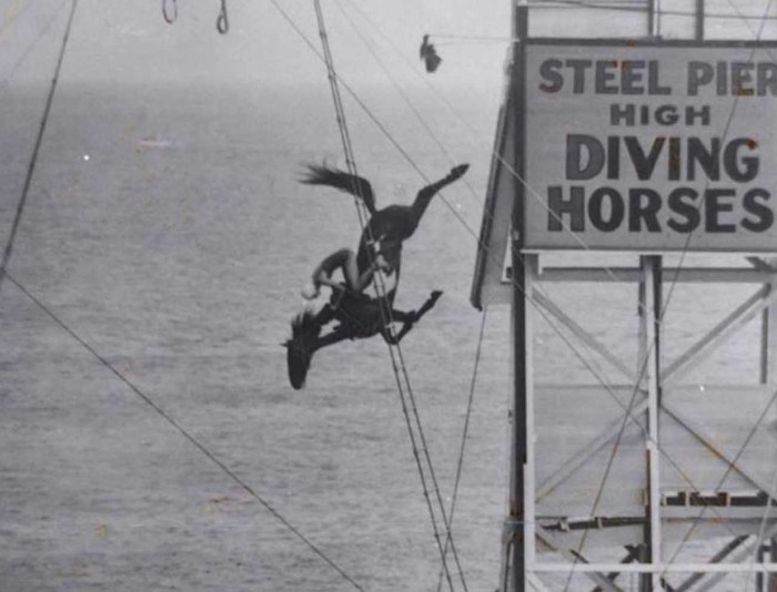 Ngựa lặn: Một trong những môn thể thao nguy hiểm nhất hành tinh thế kỷ trước - Ảnh 5.