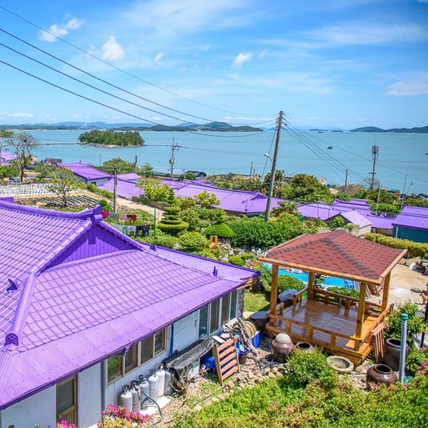 Hòn đảo kỳ lạ ở Hàn Quốc nơi mọi thứ đều phủ một màu tím, góc nào cũng đẹp lung linh - Ảnh 4.
